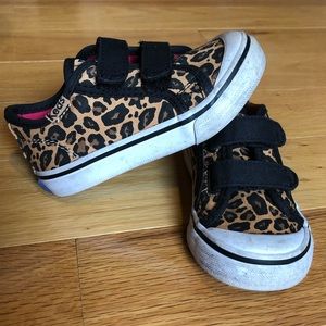 Leopard toddler Keds size 6M